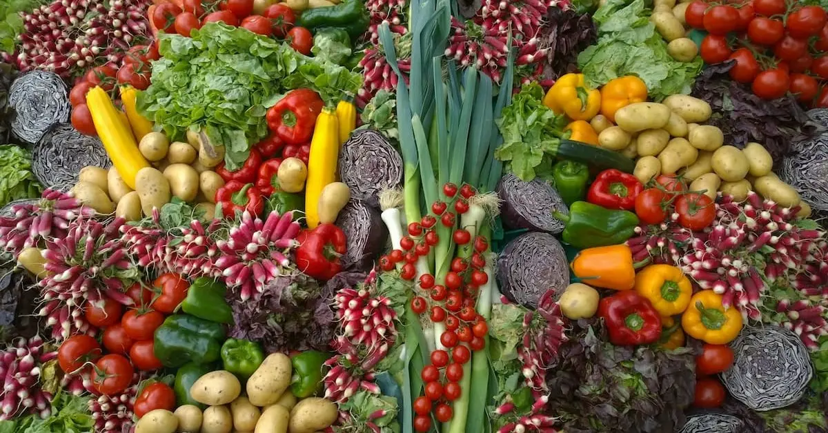 Prospěšné účinky veganské stravy: Rozhovor s odborníkem Robertem Žižkou 1 veganska strava